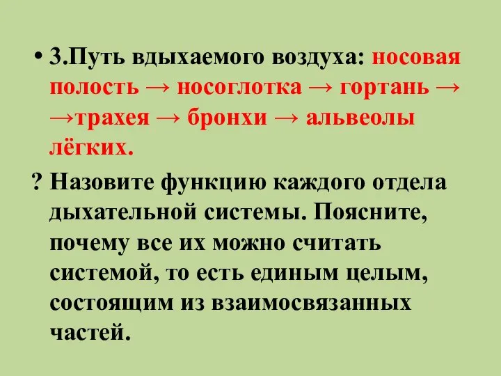 3.Путь вдыхаемого воздуха: носовая полость → носоглотка → гортань → →трахея →