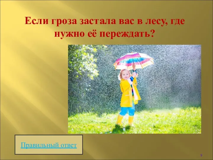 Если гроза застала вас в лесу, где нужно её переждать? Правильный ответ