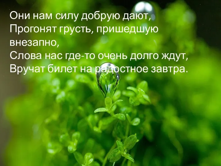 Они нам силу добрую дают, Прогонят грусть, пришедшую внезапно, Слова нас где-то