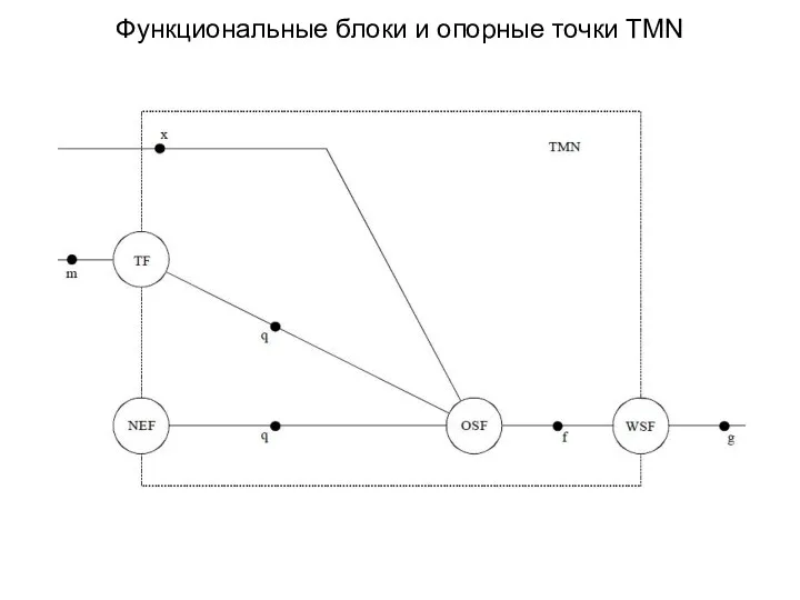 Функциональные блоки и опорные точки TMN