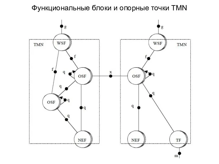 Функциональные блоки и опорные точки TMN