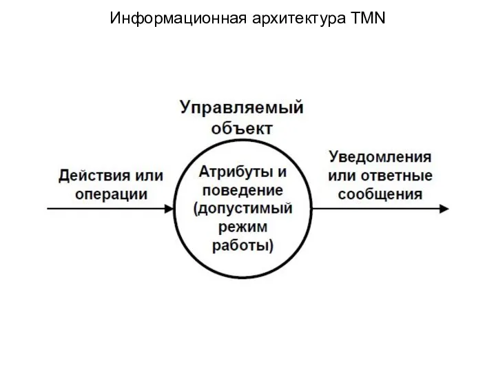 Информационная архитектура TMN