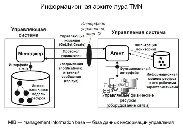 Информационная архитектура TMN MIB — management information base — база данных информации управления