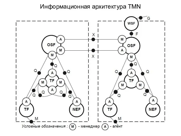 Информационная архитектура TMN