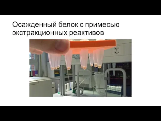 Осажденный белок с примесью экстракционных реактивов