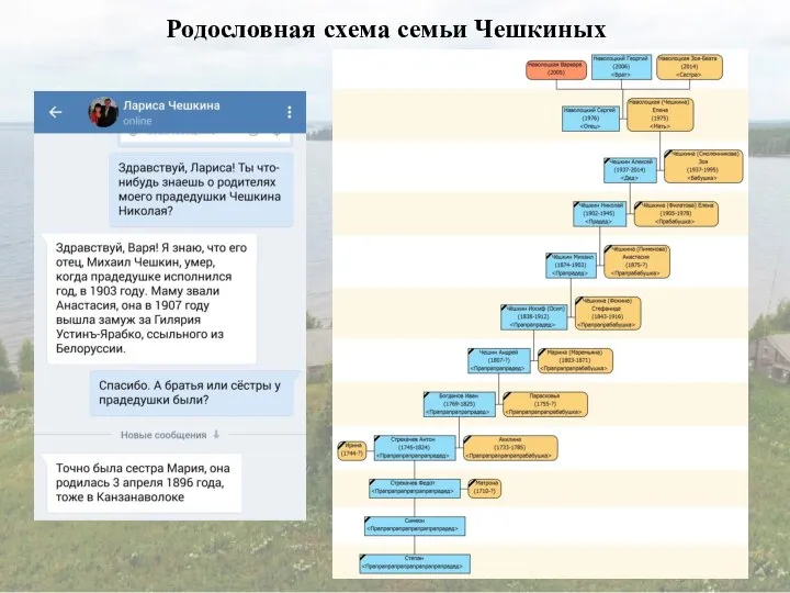 Родословная схема семьи Чешкиных