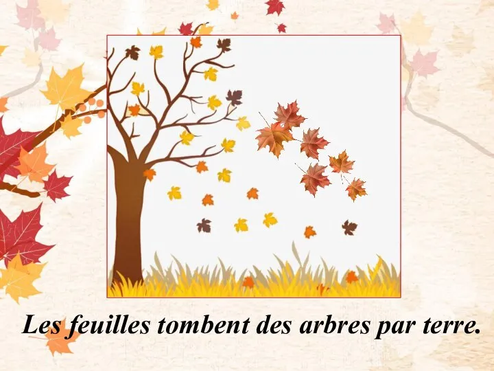 Les feuilles tombent des arbres par terre.