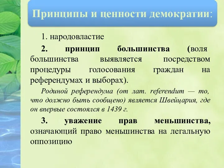 1. народовластие 2. принцип большинства (воля большинства выявляется посредством процедуры голосования граждан