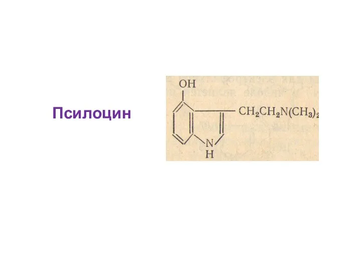 Псилоцин