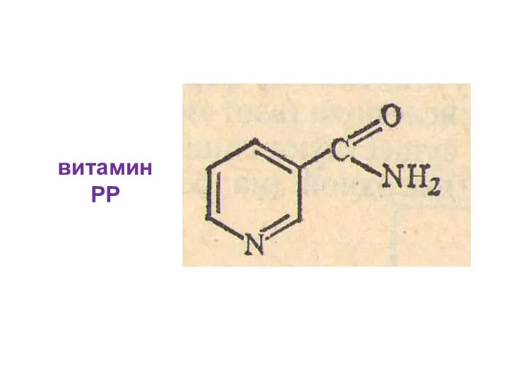 витамин РР