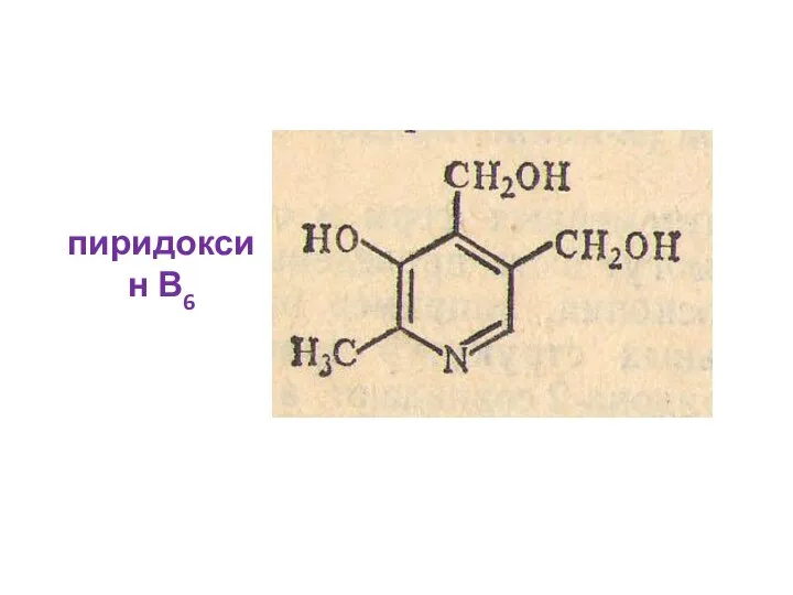 пиридоксин В6