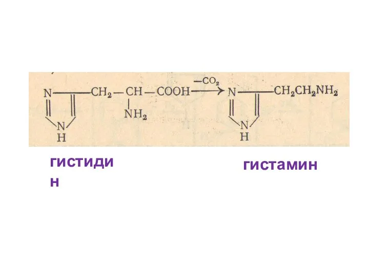 гистидин гистамин