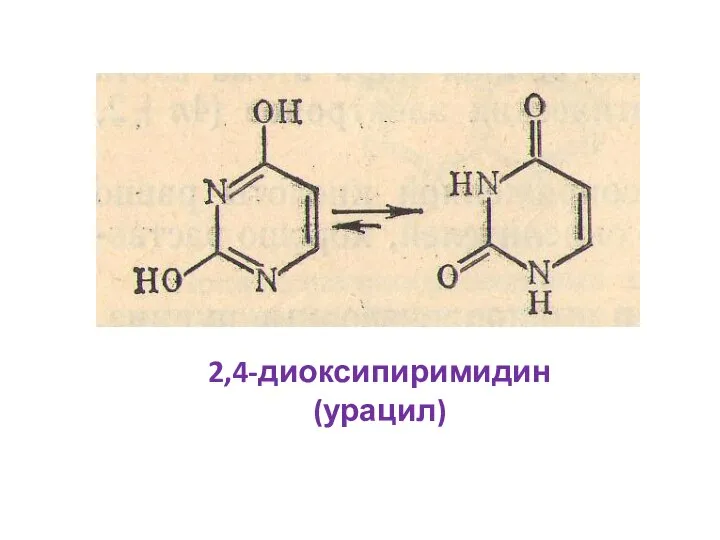 2,4-диоксипиримидин (урацил)