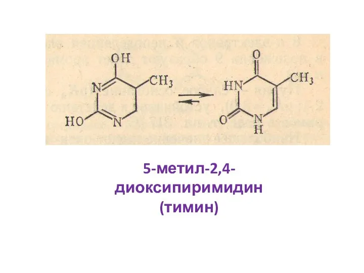 5-метил-2,4-диоксипиримидин (тимин)