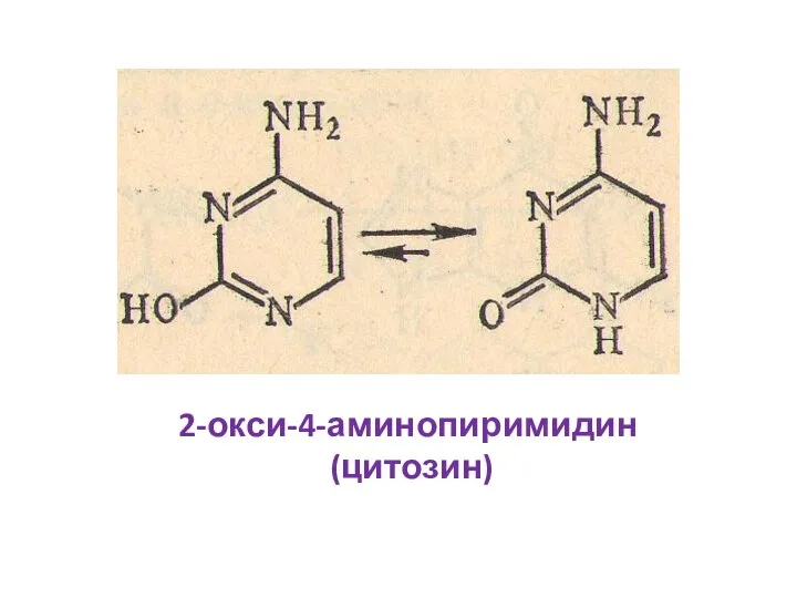 2-окси-4-аминопиримидин (цитозин)