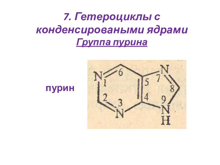 7. Гетероциклы с конденсироваными ядрами Группа пурина пурин