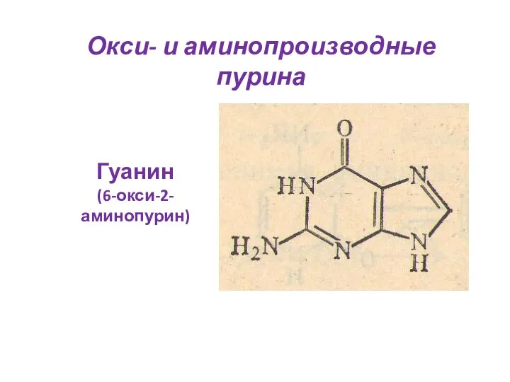 Окси- и аминопроизводные пурина Гуанин (6-окси-2-аминопурин)