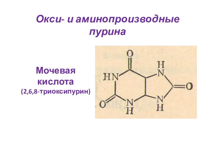 Окси- и аминопроизводные пурина Мочевая кислота (2,6,8-триоксипурин)