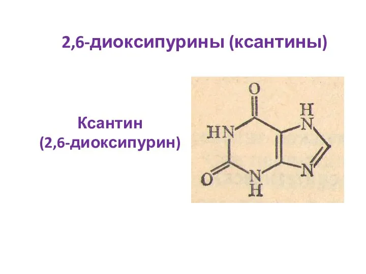 2,6-диоксипурины (ксантины) Ксантин (2,6-диоксипурин)