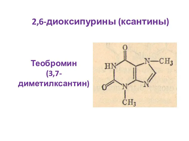 2,6-диоксипурины (ксантины) Теобромин (3,7-диметилксантин)