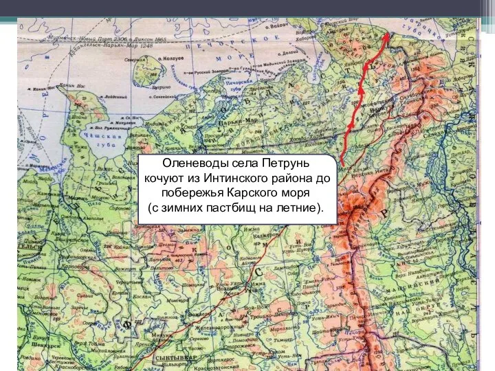 РППетруньскПОО Оленеводы села Петрунь кочуют из Интинского района до побережья Карского моря