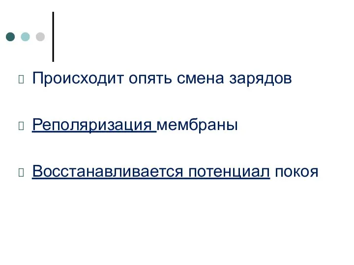 Происходит опять смена зарядов Реполяризация мембраны Восстанавливается потенциал покоя