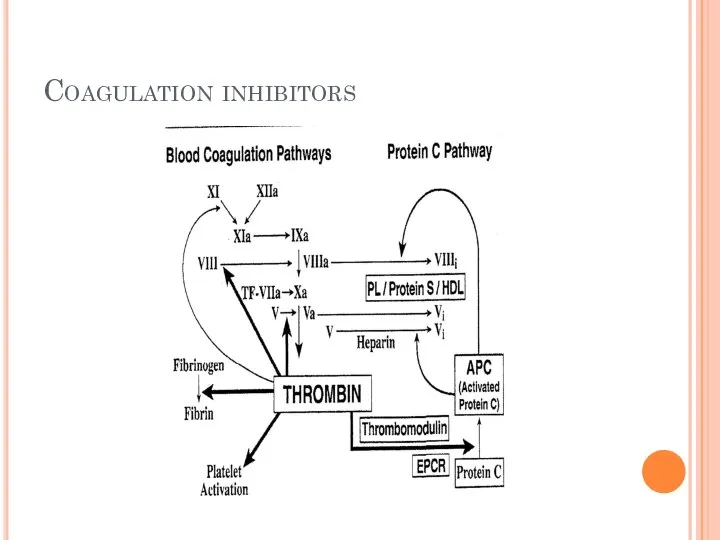 Coagulation inhibitors