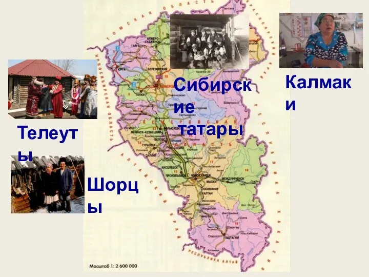 Шорцы Телеуты Калмаки Сибирские татары
