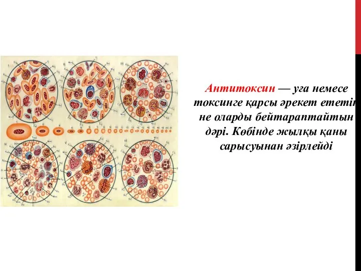 Антитоксин — уға немесе токсинге қарсы әрекет ететін не оларды бейтараптайтын дәрі.