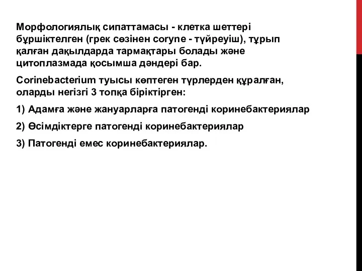 Морфологиялық сипаттамасы - клетка шеттері бұршіктелген (грек сөзінен coryne - түйреуіш), тұрып