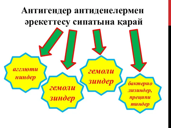 Антигендер антиденелермен әрекеттесу сипатына қарай агглютининдер гемолизиндер гемолизиндер бактериолизиндер, преципи тиндер