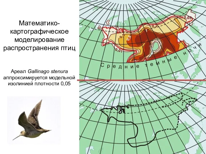 Математико-картографическое моделирование распространения птиц Ареал Gallinago stenura аппроксимируется модельной изолинией плотности 0,05