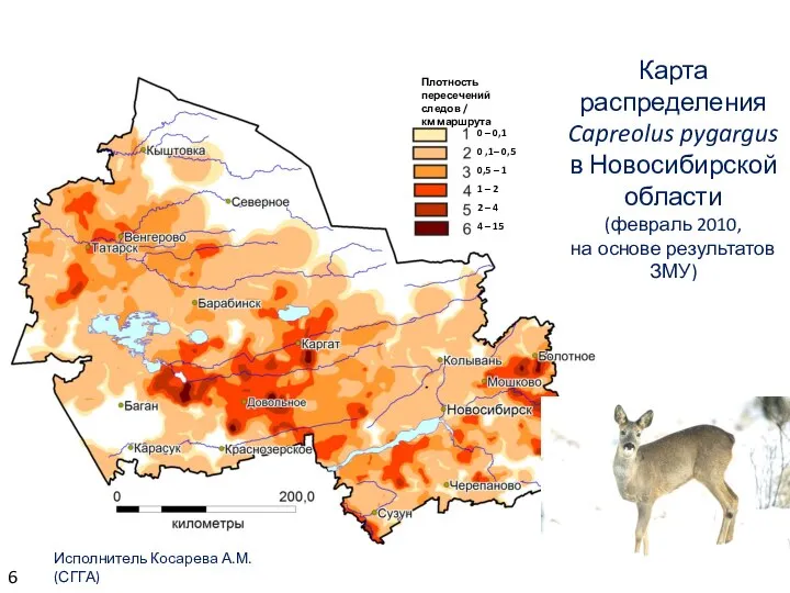 6 Карта распределения Capreolus pygargus в Новосибирской области (февраль 2010, на основе