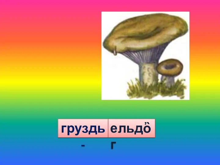 груздь - ельдὂг