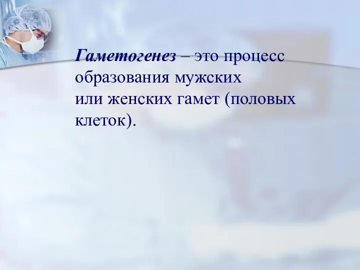 Гаметогенез – это процесс образования мужских или женских гамет (половых клеток).