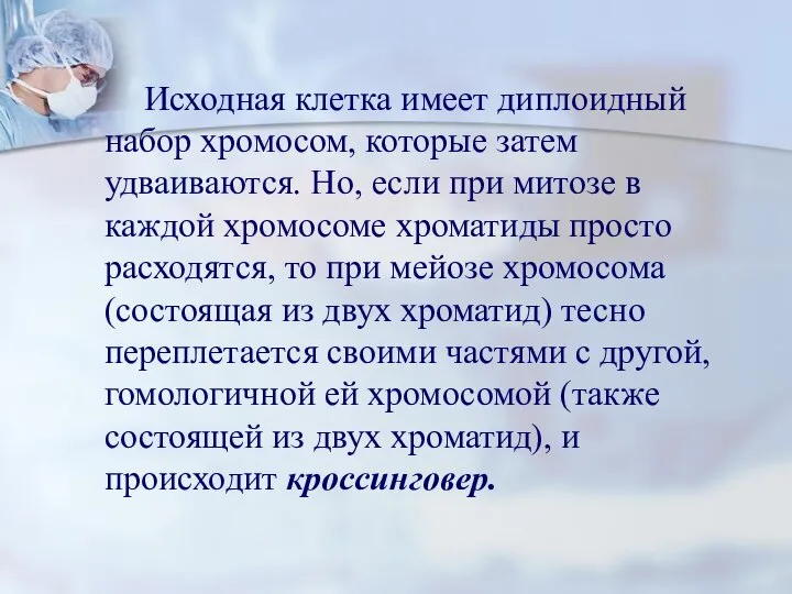 Исходная клетка имеет диплоидный набор хромосом, которые затем удваиваются. Но, если при