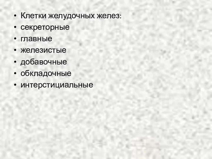 Клетки желудочных желез: секреторные главные железистые добавочные обкладочные интерстициальные