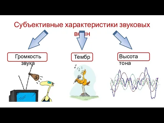 Субъективные характеристики звуковых волн Громкость звука Тембр Высота тона