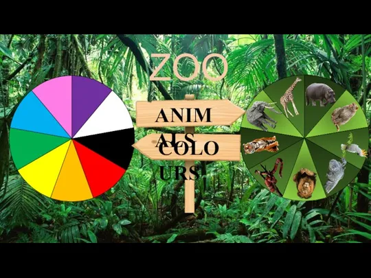 Magic Zoo