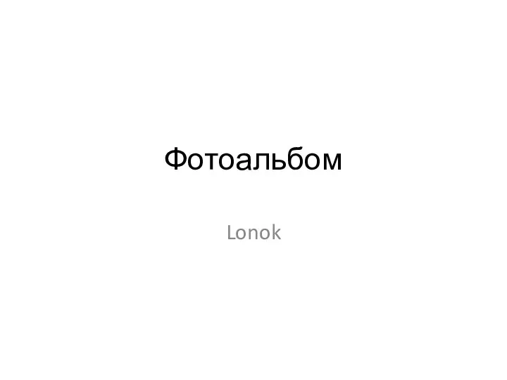 Фотоальбом Lonok