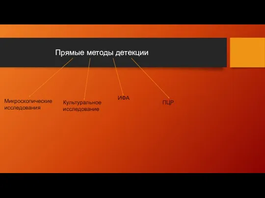 Прямые методы детекции Микроскопические исследования Культуральное исследование ИФА ПЦР