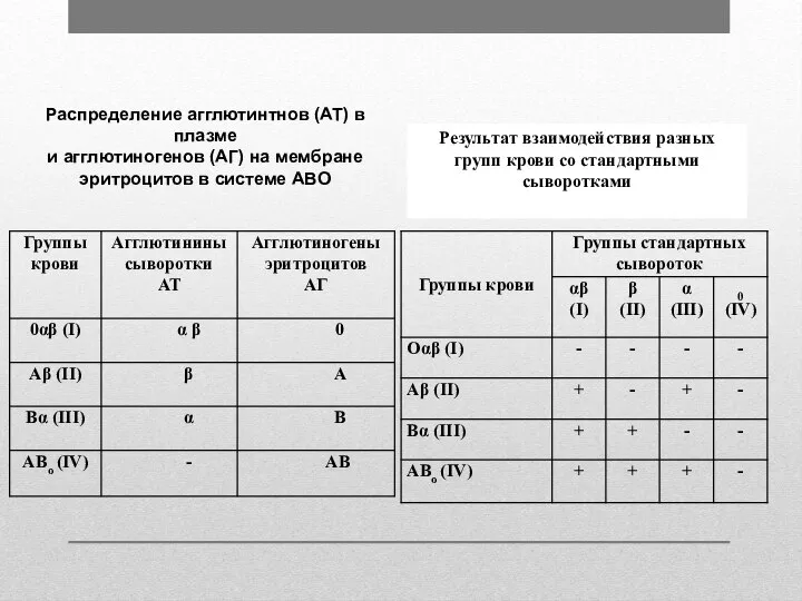 Результат взаимодействия разных групп крови со стандартными сыворотками Распределение агглютинтнов (АТ) в