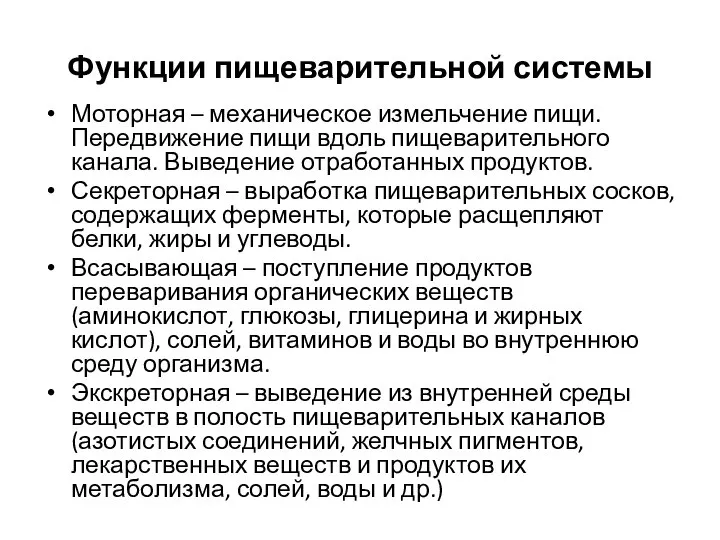 Функции пищеварительной системы Моторная – механическое измельчение пищи. Передвижение пищи вдоль пищеварительного