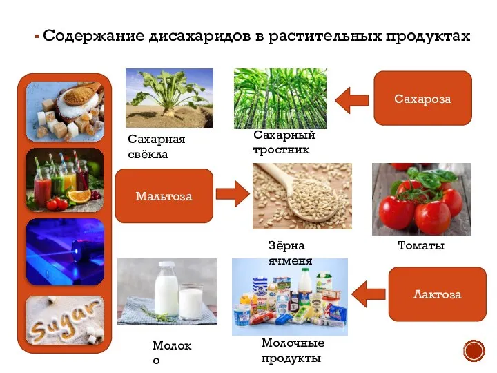 Содержание дисахаридов в растительных продуктах Зёрна ячменя Сахарная свёкла Сахарный тростник Томаты