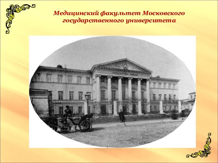 Медицинский факультет Московского государственного университета