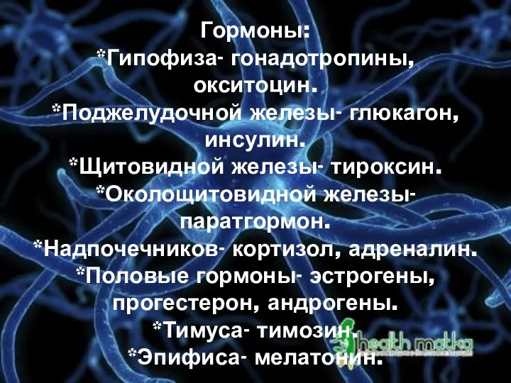 Гормоны: *Гипофиза- гонадотропины, окситоцин. *Поджелудочной железы- глюкагон, инсулин. *Щитовидной железы- тироксин. *Околощитовидной