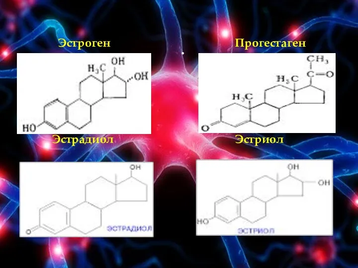 . Эстроген Прогестаген Эстрадиол Эстриол