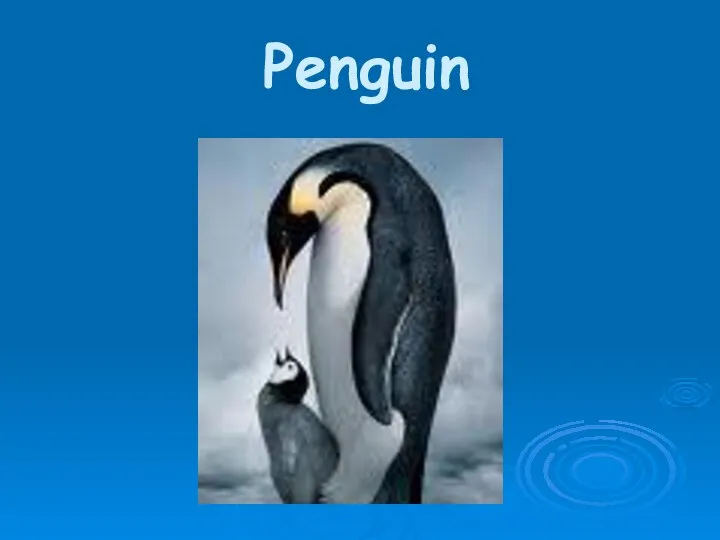 Penguin