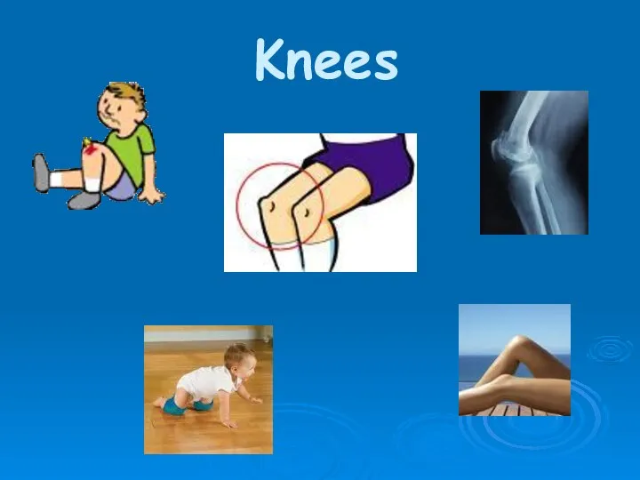 Knees