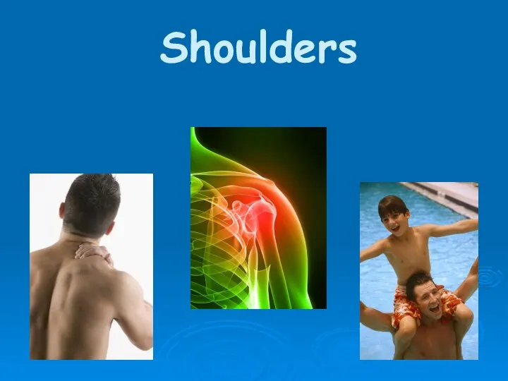 Shoulders